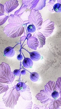 Negatyw