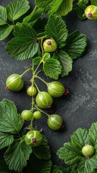Oryginalny obrazek