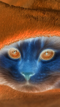 Negatyw