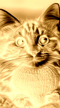 Sepia + Negatyw