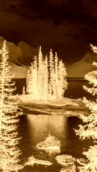 Sepia + Negatyw