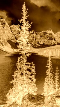 Sepia + Negatyw