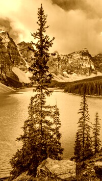 Sepia