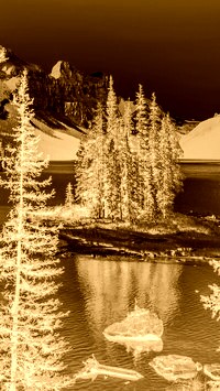 Sepia + Negatyw