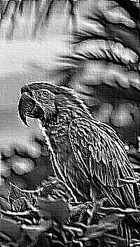 Skamielina