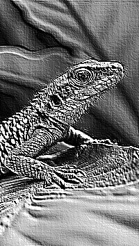 Skamielina