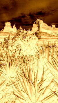 Sepia + Negatyw