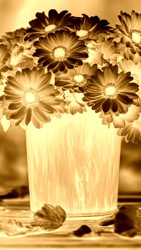 Sepia + Negatyw