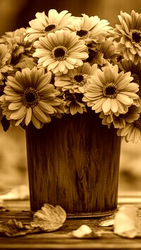 Sepia