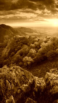 Sepia