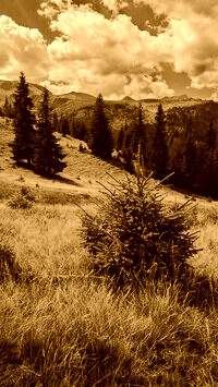 Sepia