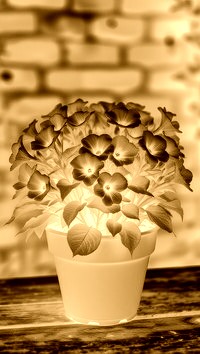 Sepia + Negatyw