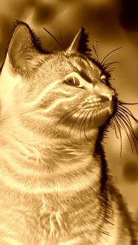 Sepia + Negatyw