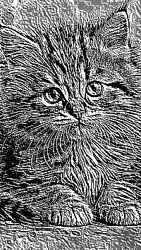 Skamielina