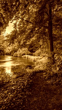 Sepia