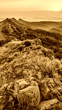 Sepia