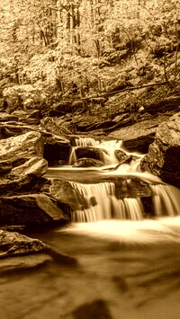 Sepia