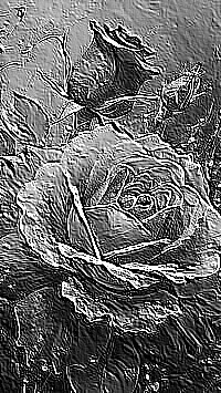 Skamielina