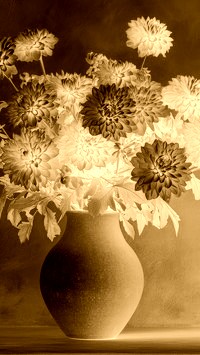Sepia + Negatyw