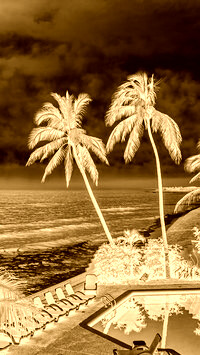 Sepia + Negatyw
