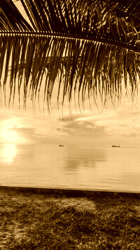 Sepia