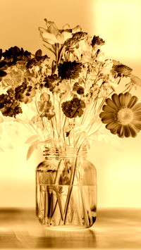 Sepia + Negatyw