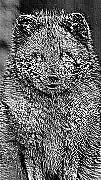 Skamielina