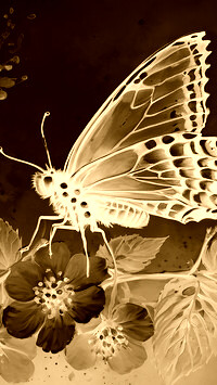 Sepia + Negatyw