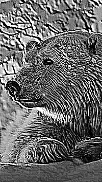 Skamielina