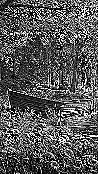 Skamielina