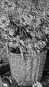 Skamielina