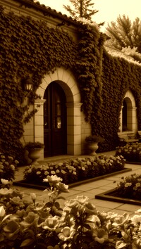 Sepia
