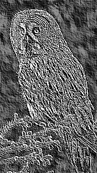 Skamielina
