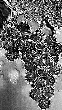 Skamielina