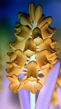 Negatyw