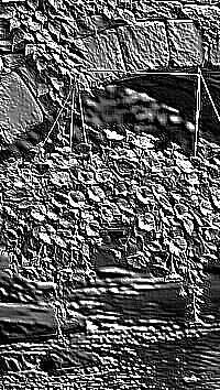 Skamielina