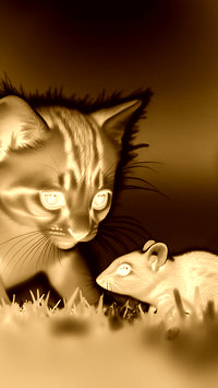 Sepia + Negatyw