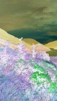 Negatyw
