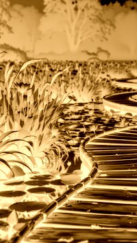 Sepia + Negatyw