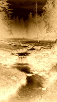 Sepia + Negatyw