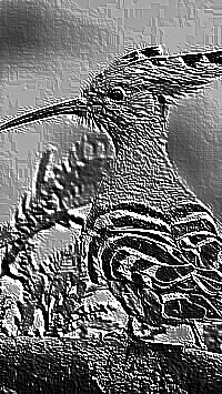 Skamielina