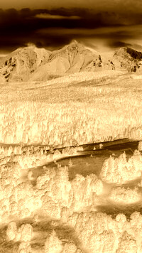 Sepia + Negatyw