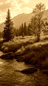 Sepia