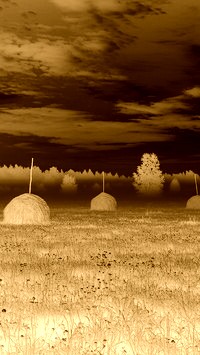 Sepia + Negatyw