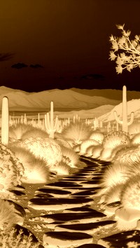 Sepia + Negatyw