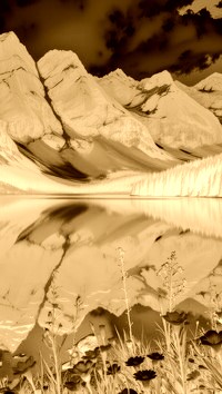 Sepia + Negatyw