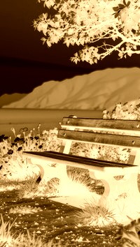 Sepia + Negatyw