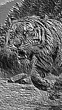 Skamielina
