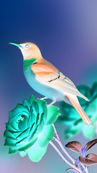 Negatyw