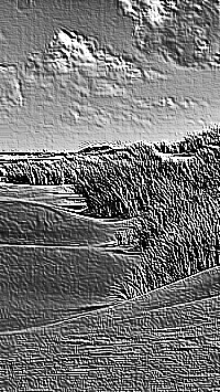 Skamielina